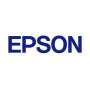 Compatibile Epson, Produttore Anyprinter